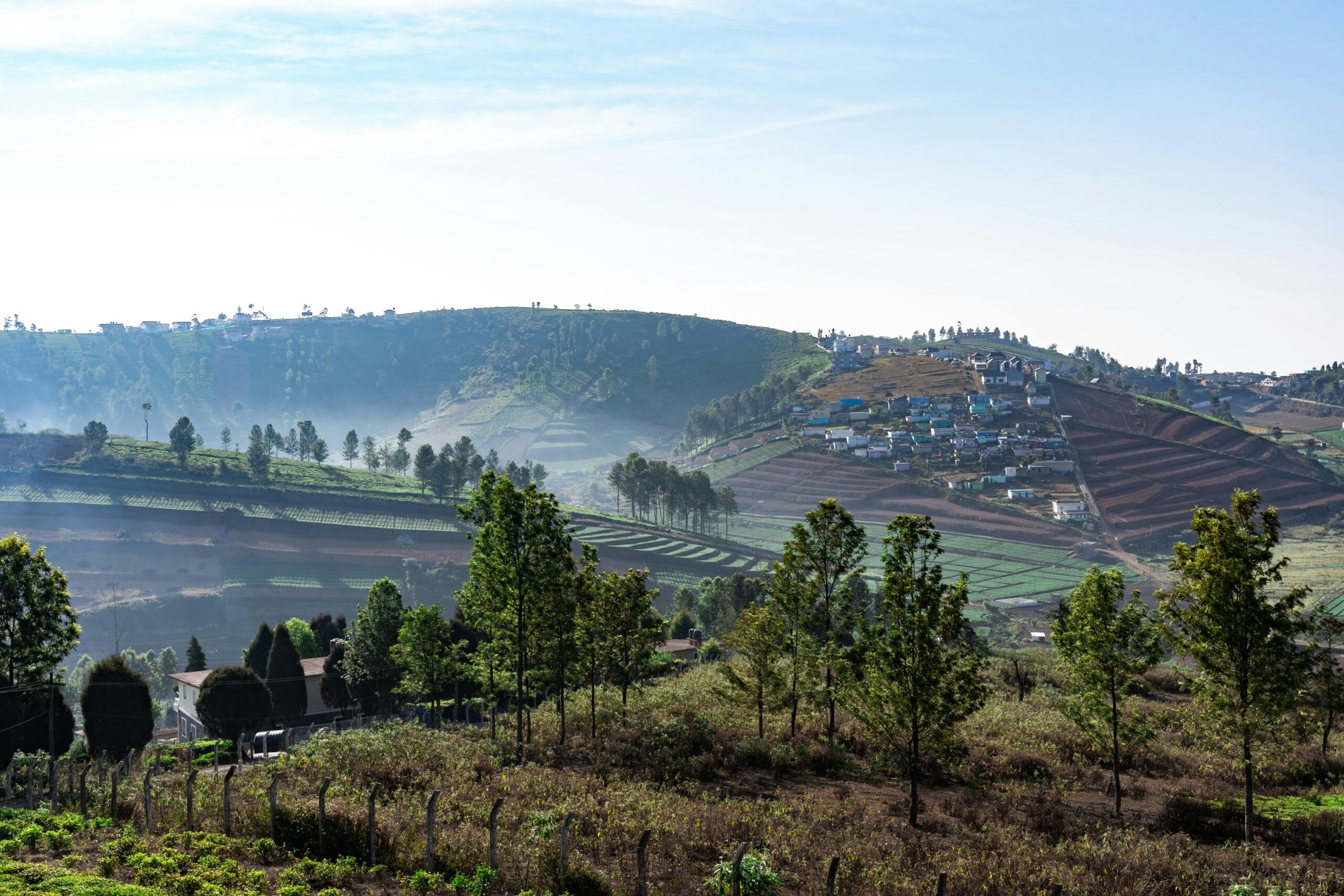 View of a Village