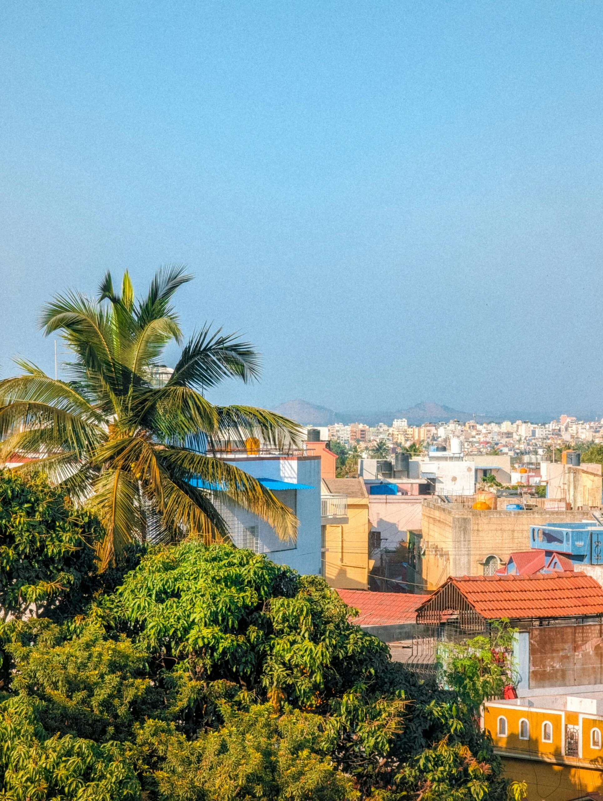 Vibrant cityscape featuring colorful houses, a palm tree, and a bright blue sky.