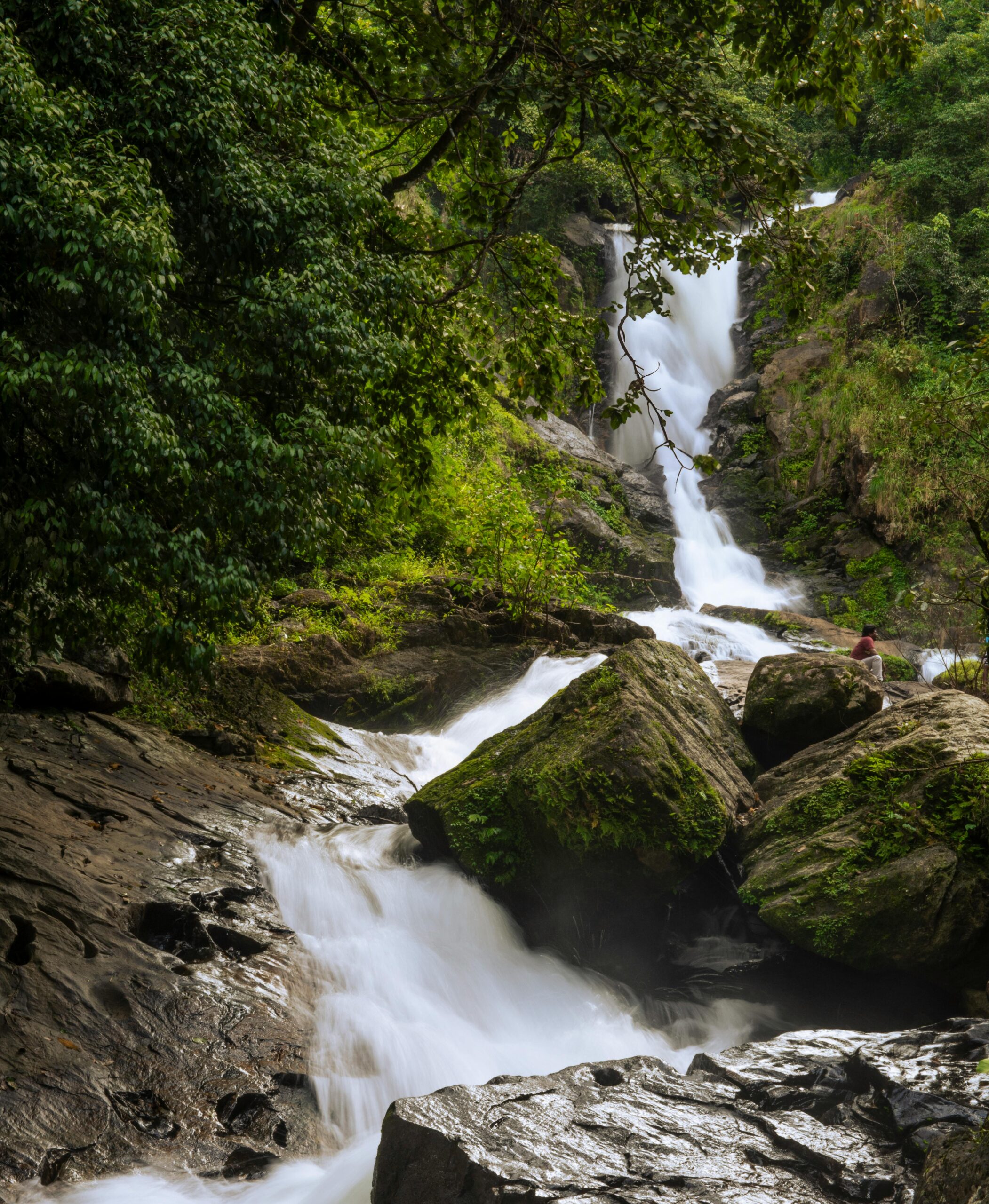 Majestic waterfall cascading through the lush forest of Wayanad, India, surrounded by greenery and rocks.